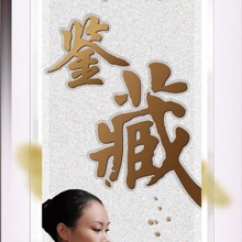 國(guó)窖1573曾娜大師 500ml