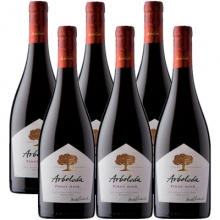 珍木莊園（阿波雷達(dá)）黑皮諾干紅葡萄酒 Arboleda Pinot Noir 750ml