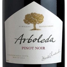 珍木莊園（阿波雷達(dá)）黑皮諾干紅葡萄酒 Arboleda Pinot Noir 750ml
