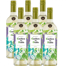 干露酒莊紅魔鬼尊龍長相思干白葡萄酒 Casillero del Diablo Sauvignon Blanc 750ml