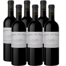 安第斯白馬酒莊干紅葡萄酒 Cheval des Andes 750ml