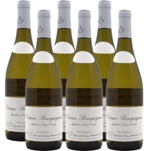 勒樺酒莊勃艮第丘干白葡萄酒 Domaine Leroy Coteaux Bourguignons Blanc 750ml